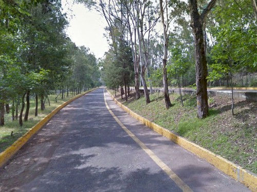 Avenida Parque de los Ciervos