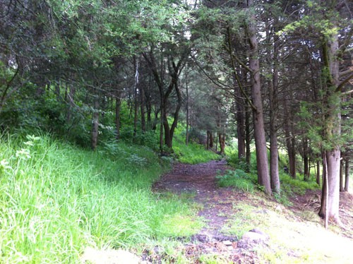 Senderos para caminar