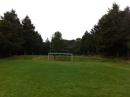 Area de Ejercicio y Juego