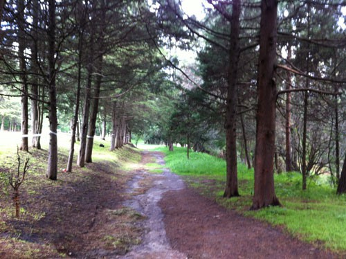 Senderos para caminar