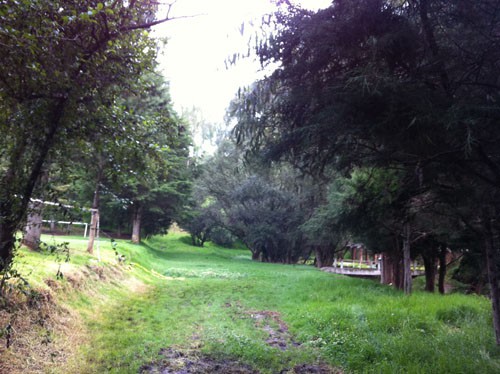 Senderos para caminar